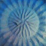 Playful VOCAL IMPROVISATION & Circlesong LAB